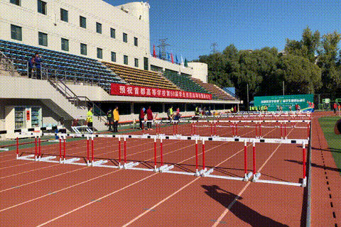 10.gif